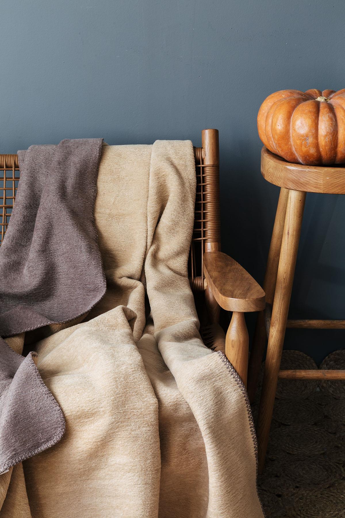 Coperta da TV in cotone Elite (130 x 170 cm)