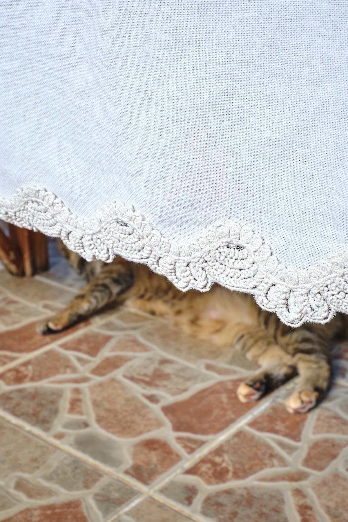 Tovaglia bianca con bordo in pizzo, zampe di gatto visibili su un pavimento in pietra
