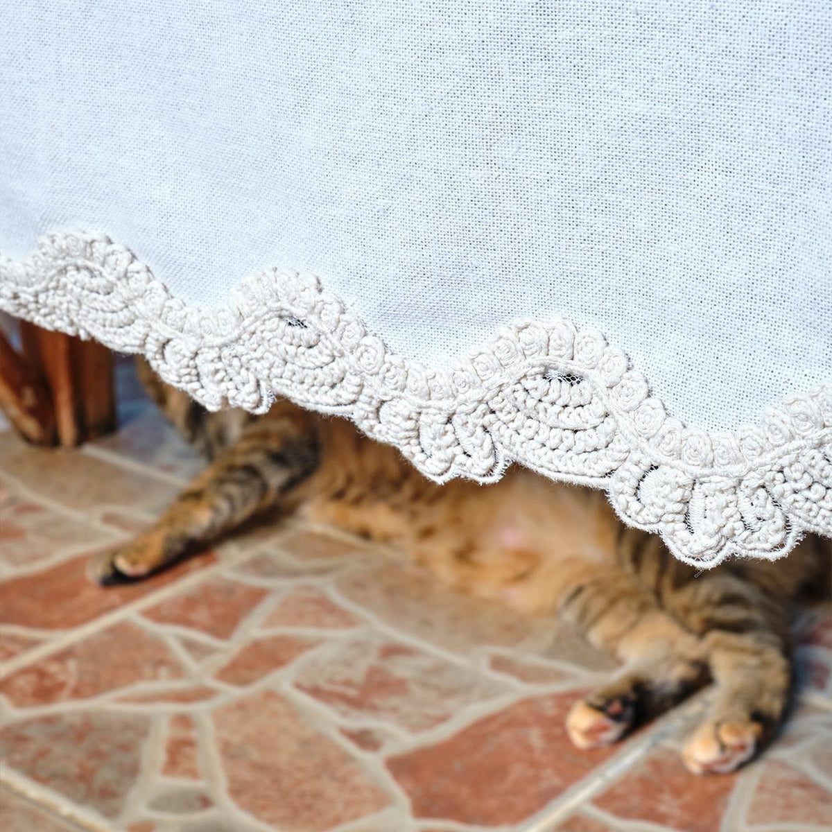 Tovaglia con runner a tema arvicola (150 x 320 cm)